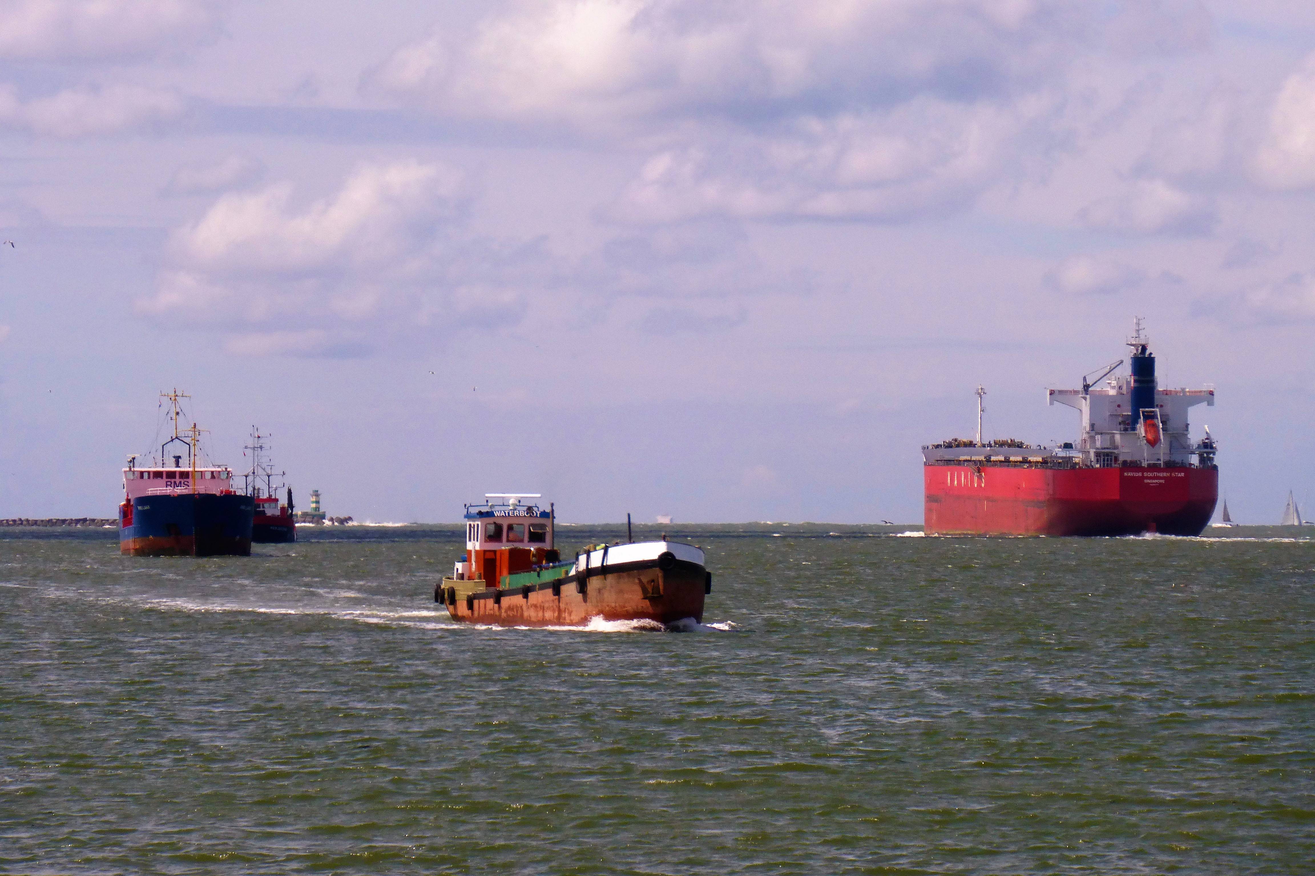 Pieren IJmuiden   29-07-20 